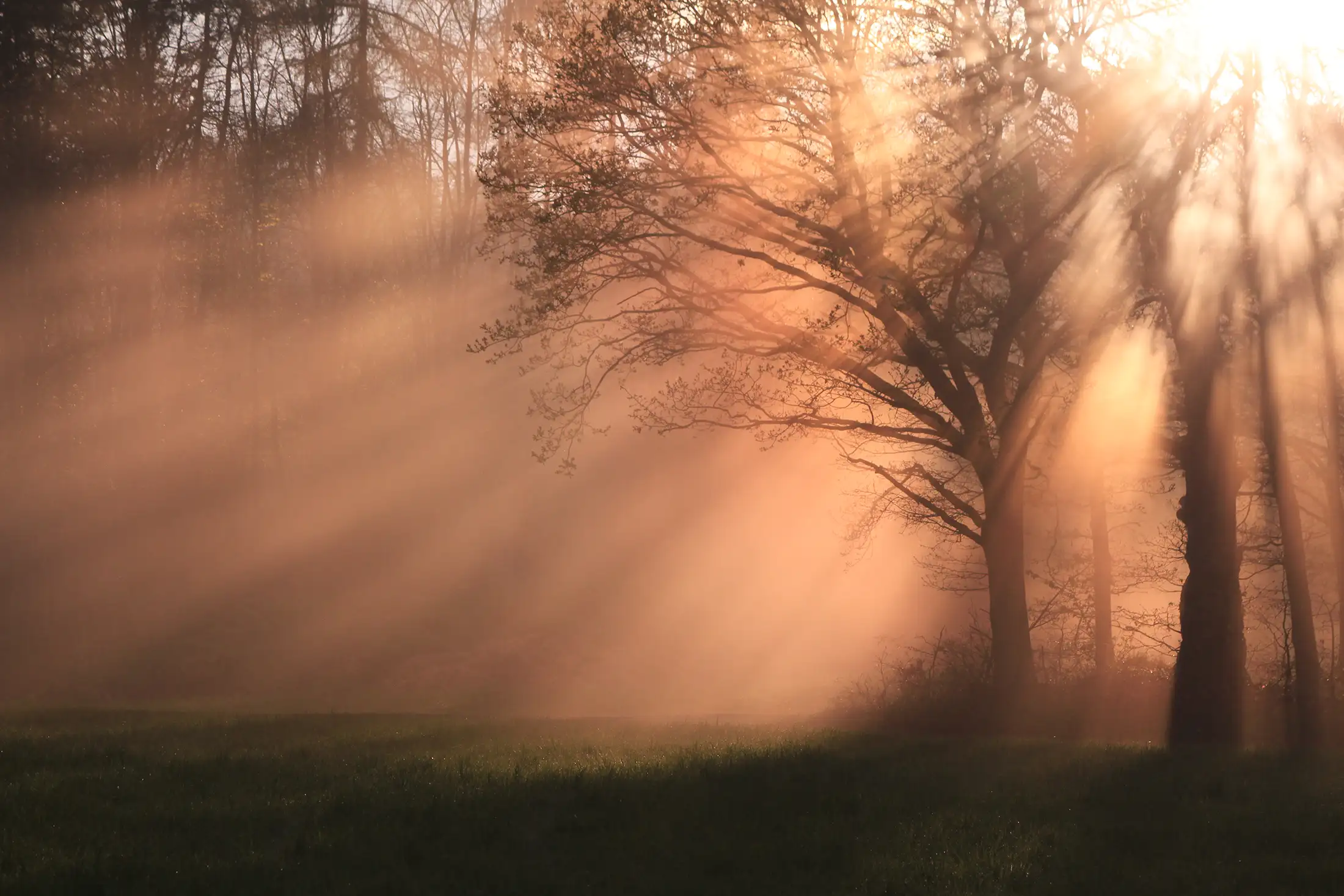 Krajina za soumraku, paprsky slunce prorážející mlhu nad údolím